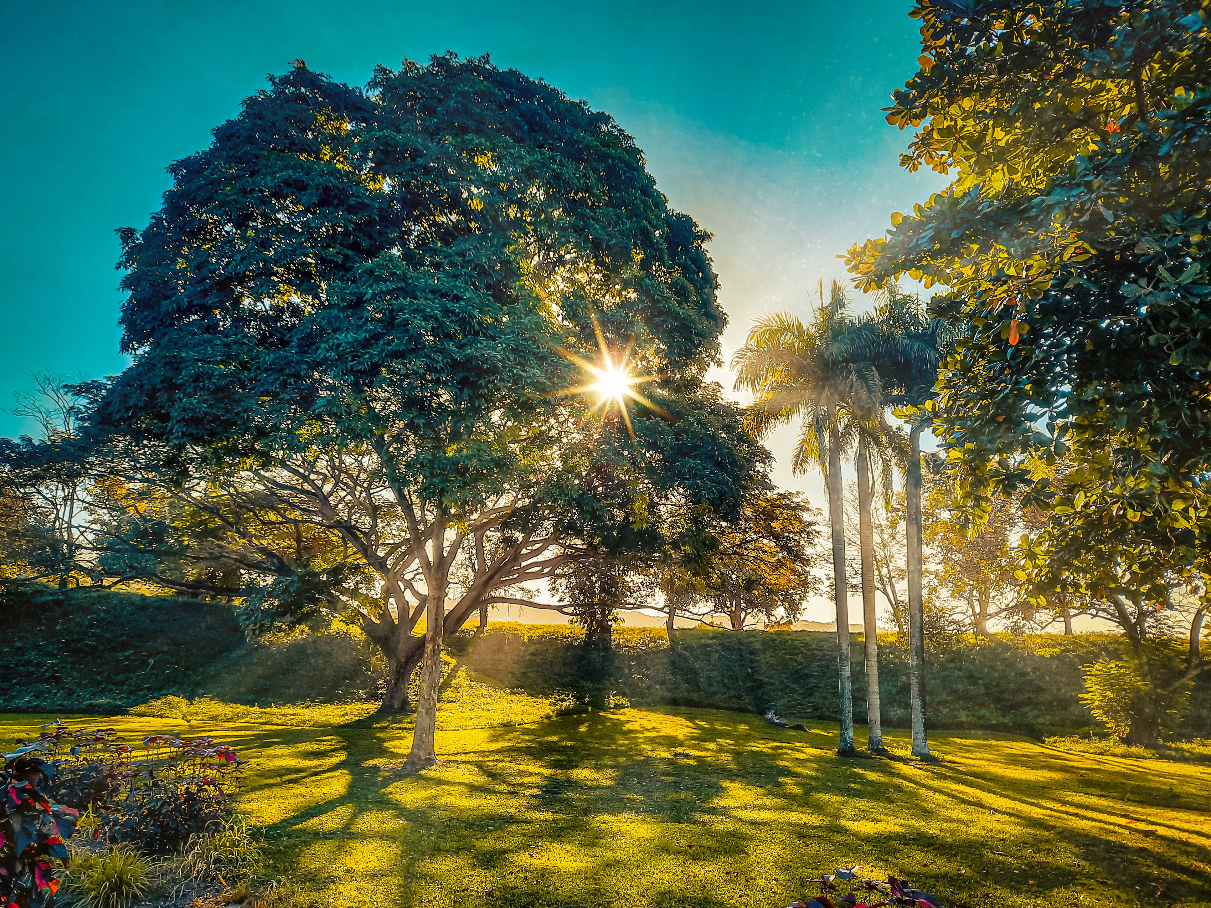 Ecología verde